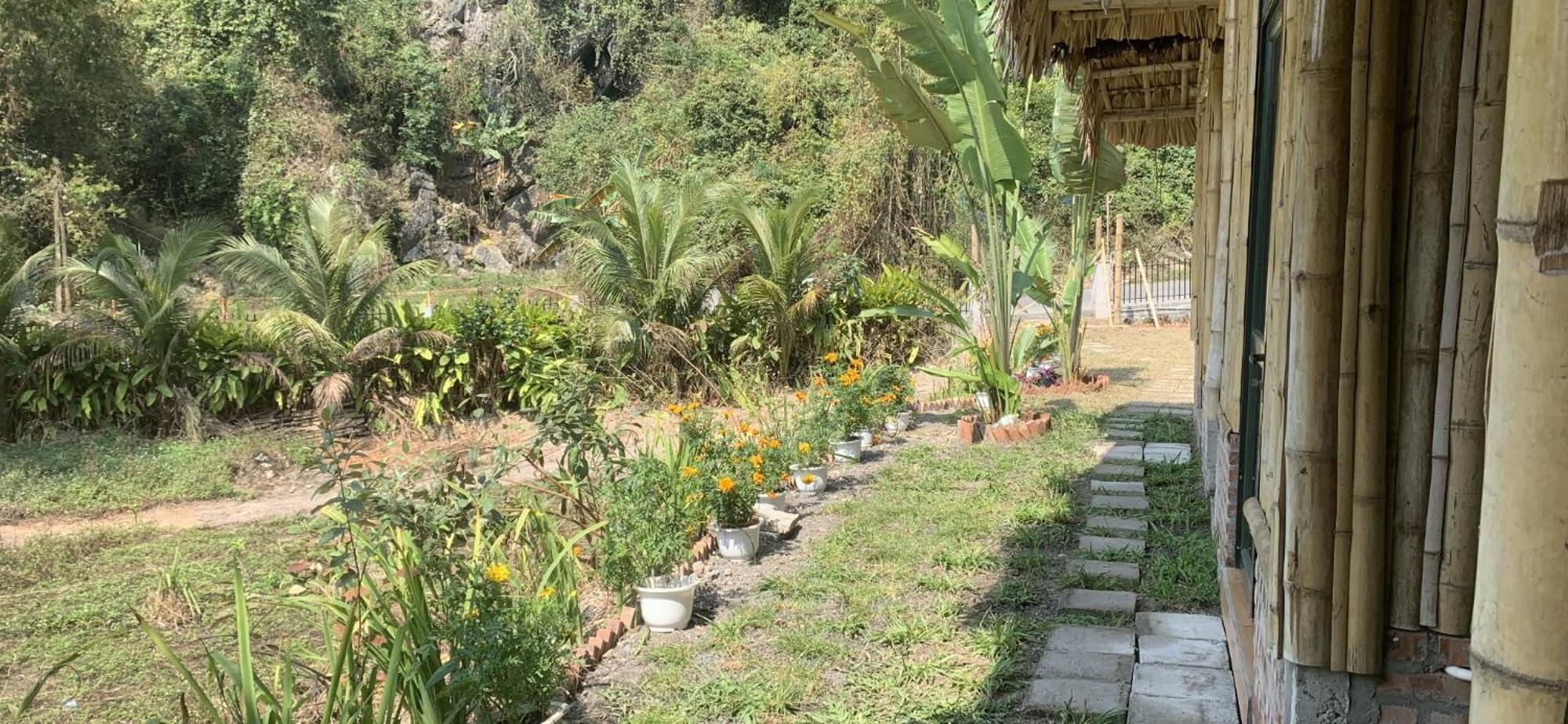 Cat Ba Island Garden Homestay - Papillon Exterior photo